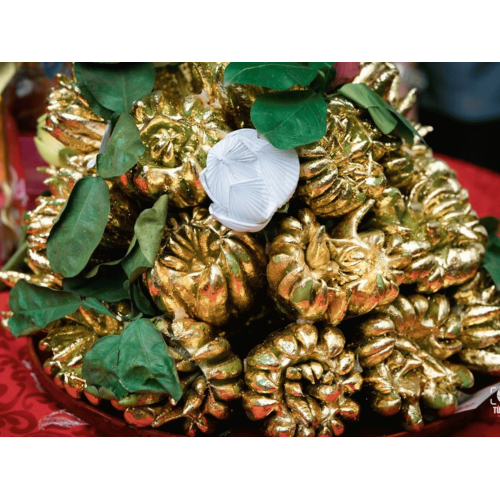 VCF đã tham gia nghi lễ thắp hương dâng lễ vật lên Vua Hùng